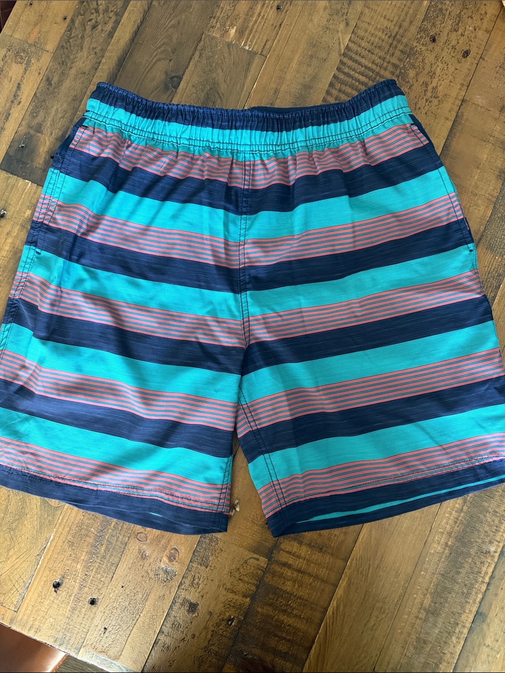Speedo Navy & Teal Striped Men's Swim Shorts
